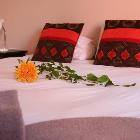 Dunedin Star Guesthouse 스바코프문트 외부 사진