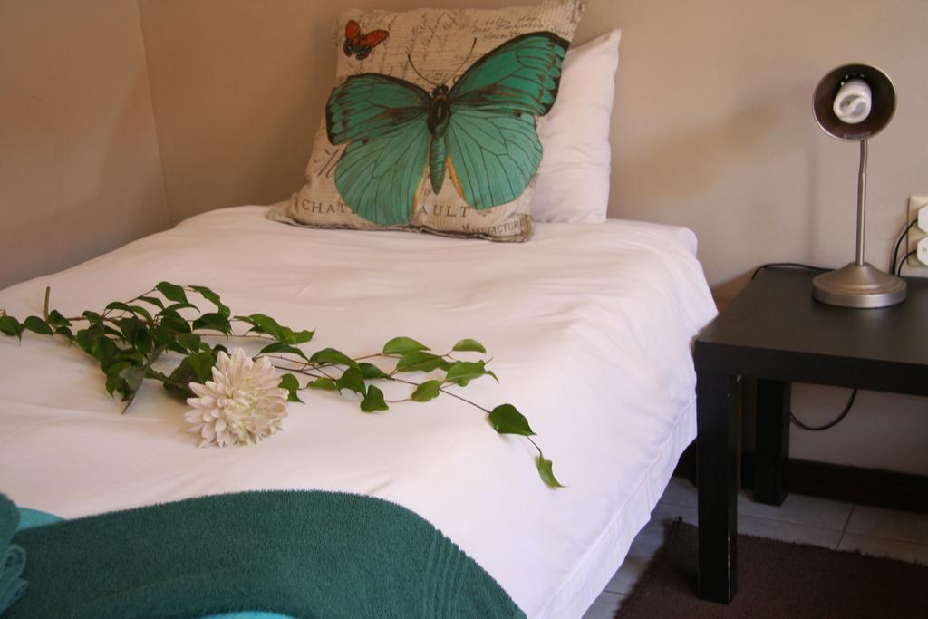 Dunedin Star Guesthouse 스바코프문트 객실 사진